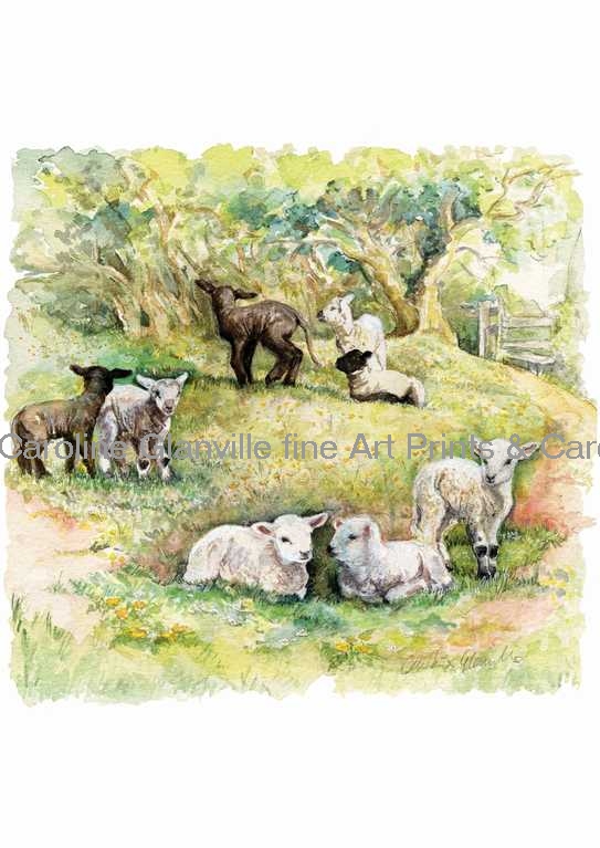Lambs in field, painting by Caroline Glanville